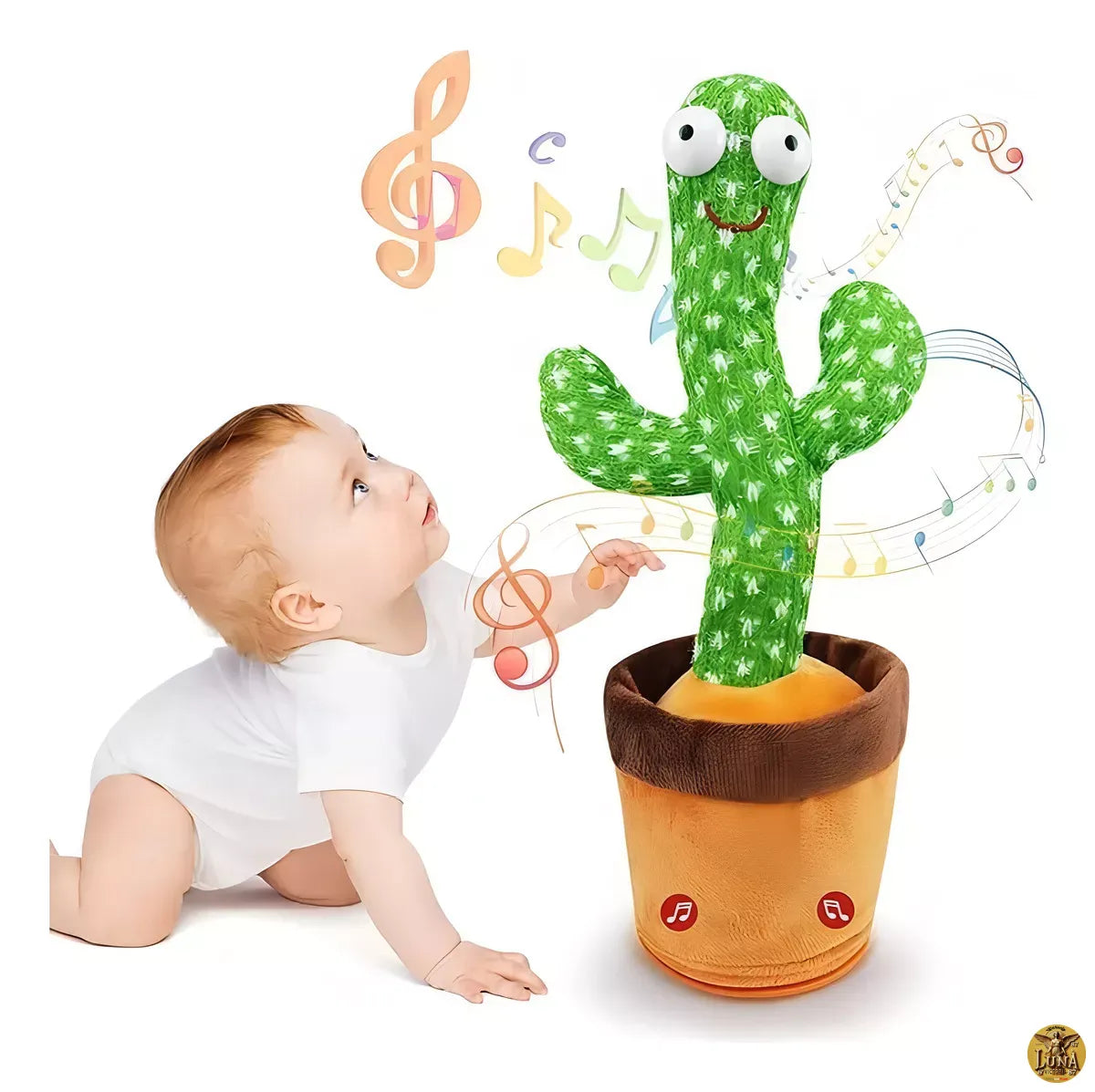 Cactus Bailarin que imita Voz y Canta